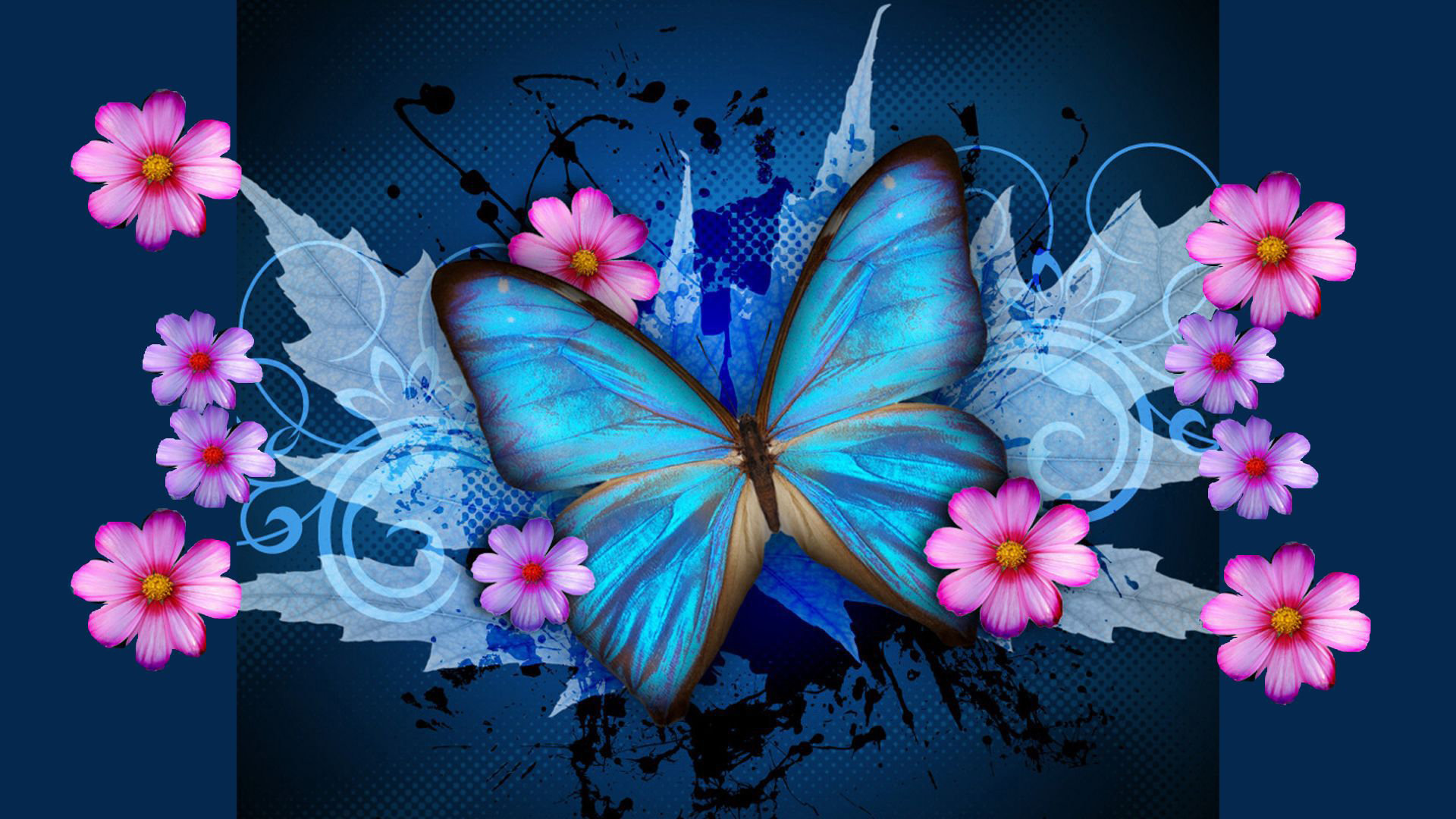 Awesome Butterfly free background ID:168742 for hd 1920x1080 computer