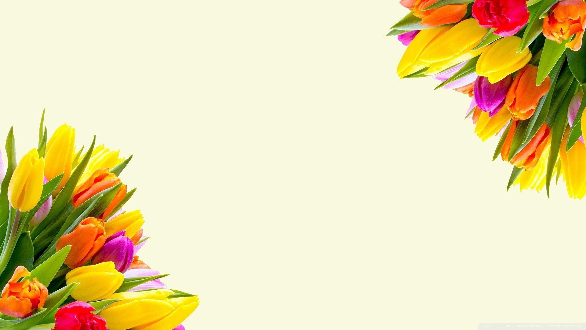Awesome Flower bouquet free wallpaper ID:179737 for hd 1920x1080 computer