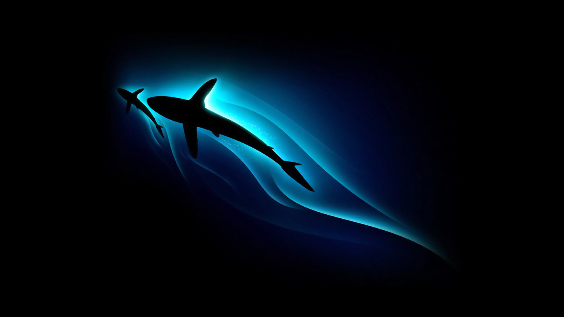 Free Shark high quality wallpaper ID:180507 for full hd 1080p computer