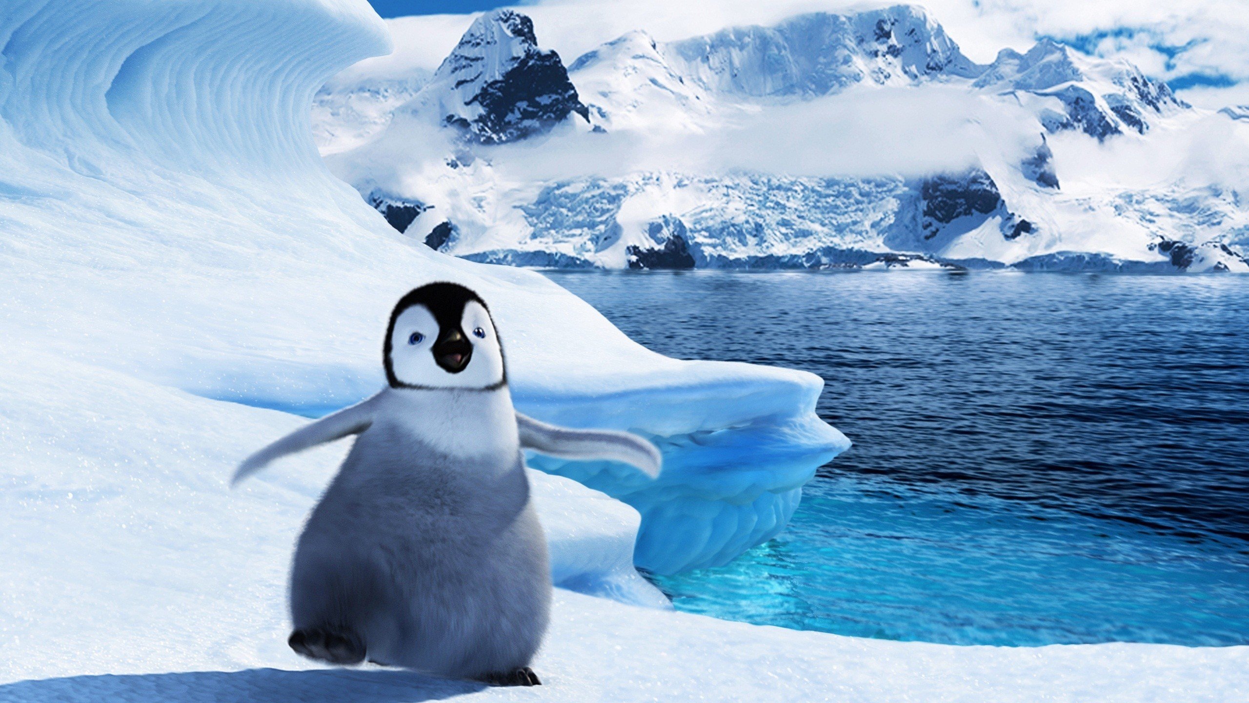 High resolution Happy Feet hd 2560x1440 background ID:146157 for PC