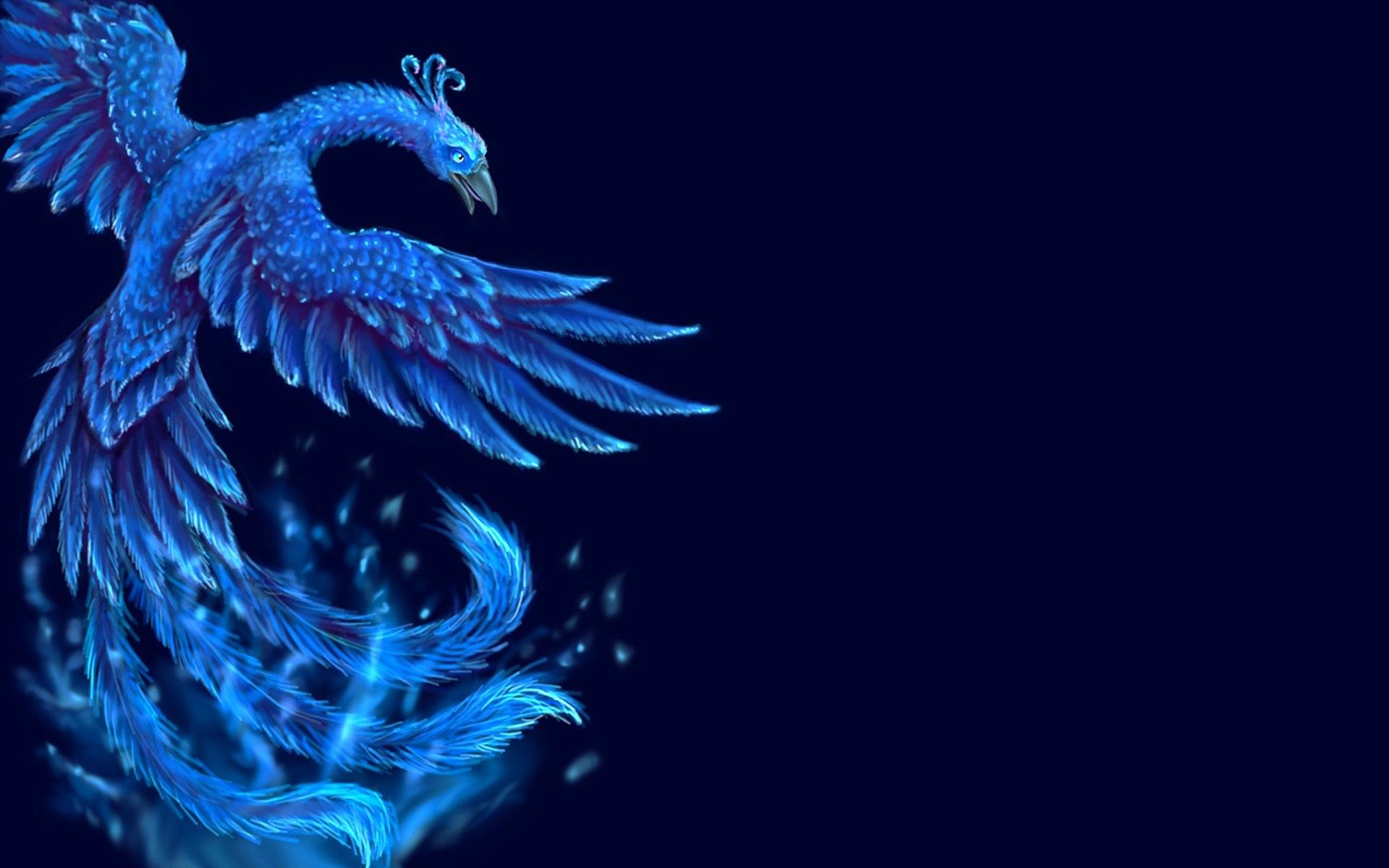 Free download Phoenix background ID:100483 hd 1920x1200 for computer