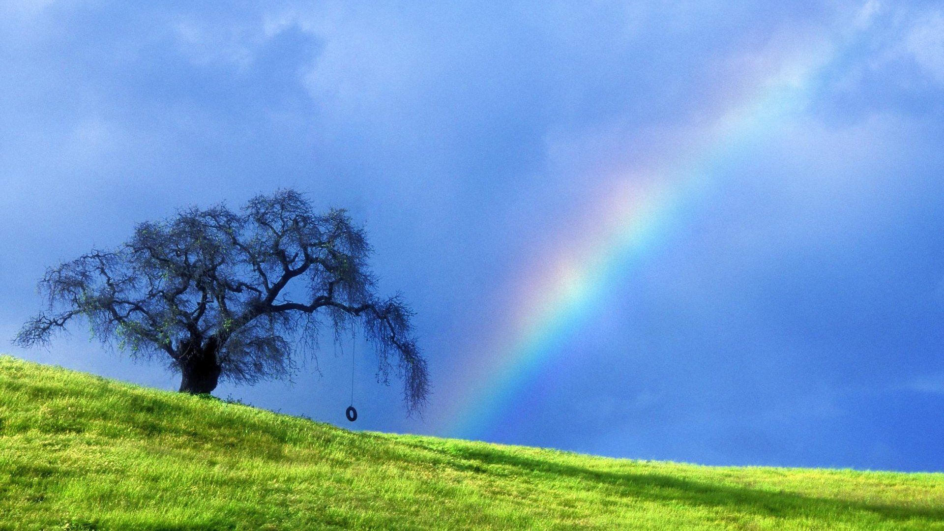 Awesome Rainbow free background ID:402839 for full hd 1080p desktop