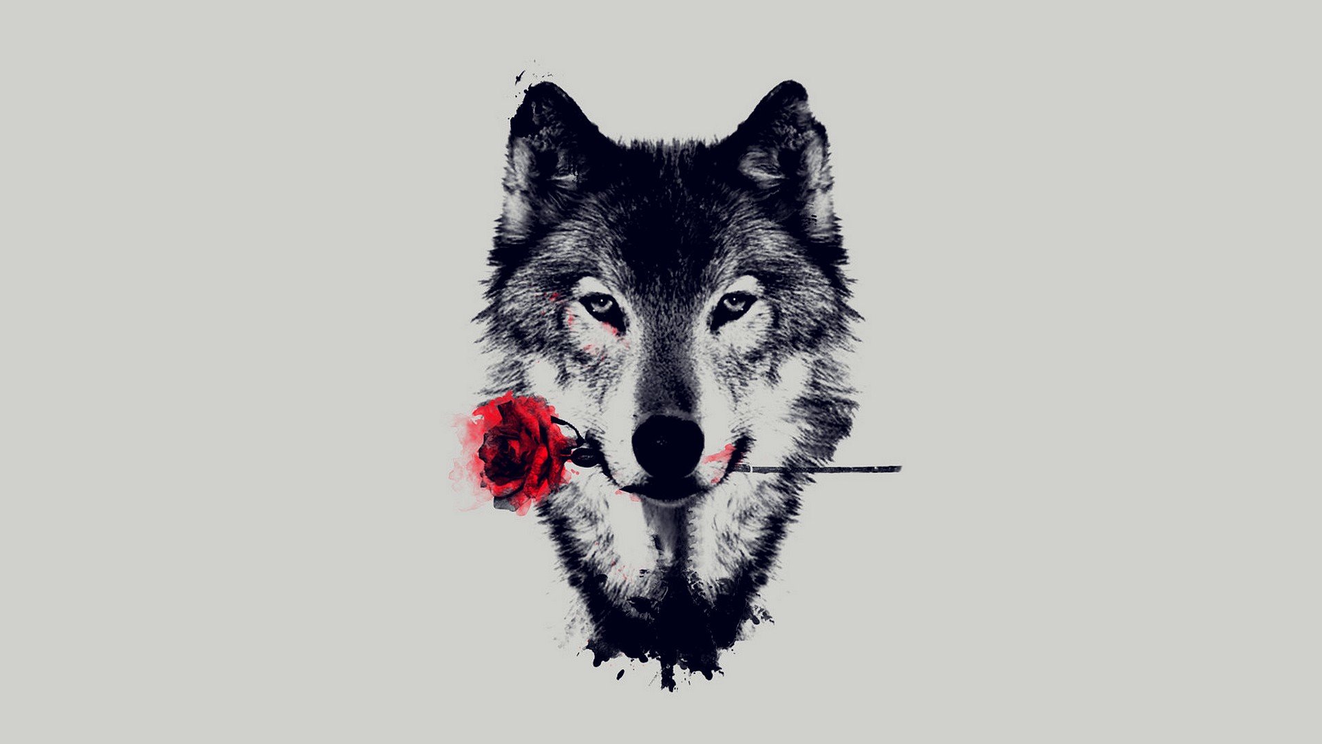 Free Wolf high quality background ID:117937 for full hd 1080p computer