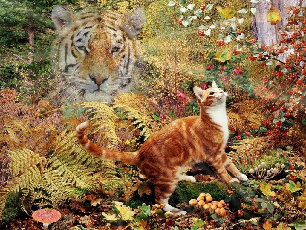 Download hd 1024x768 Tiger Fantasy PC background ID:259311 for free