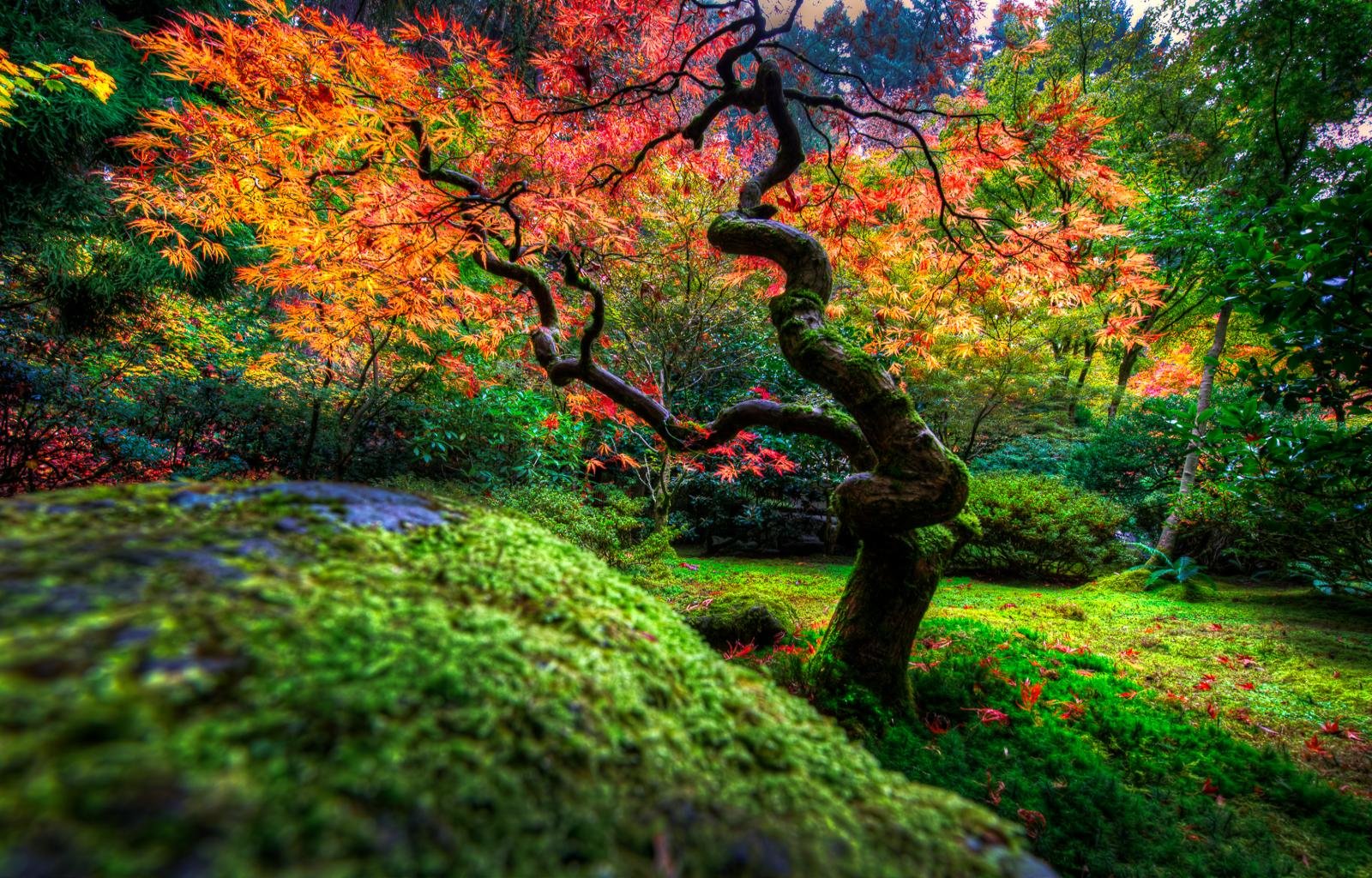 Download hd 1600x1024 Japanese Garden computer background ID:92652 for free