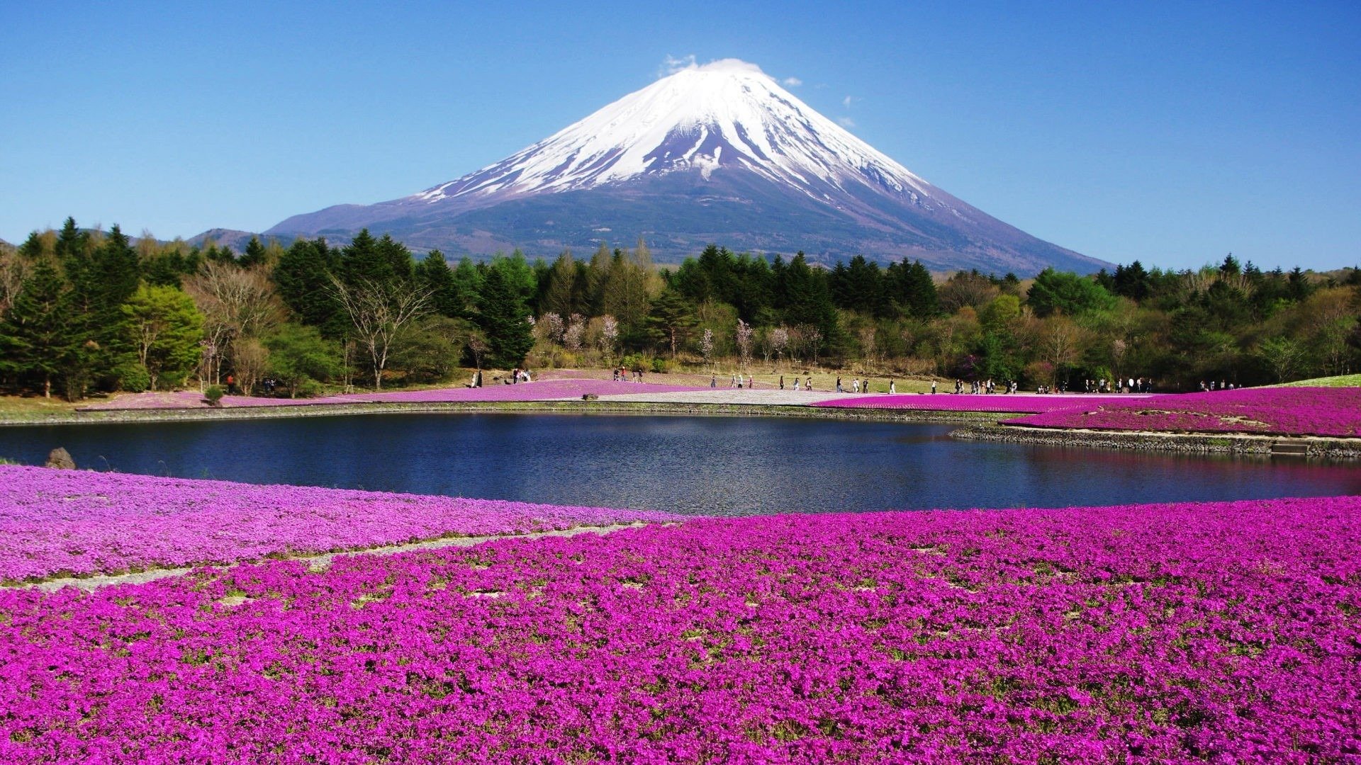 Free Mount Fuji high quality background ID:277770 for full hd desktop