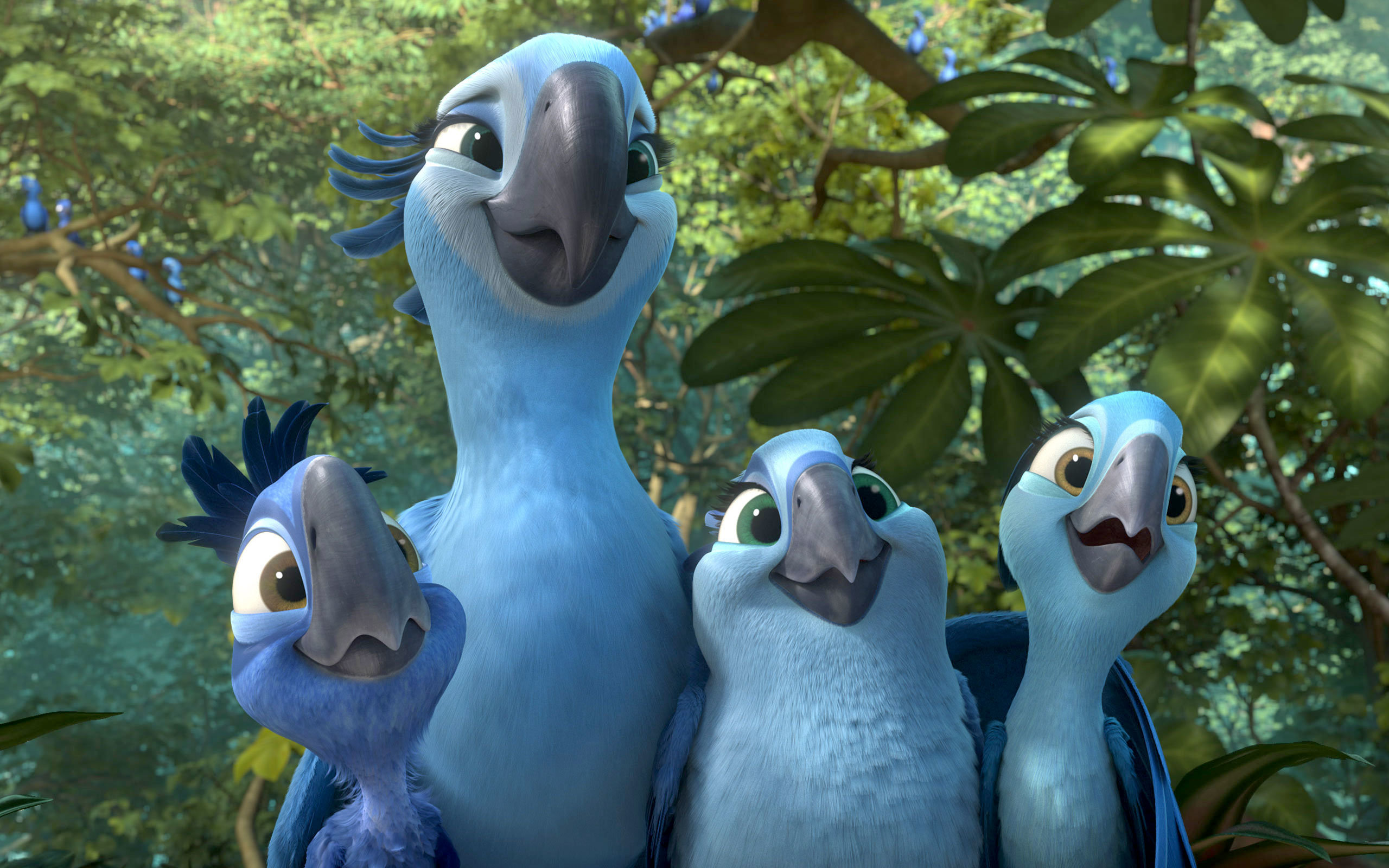 Best Rio 2 wallpaper ID:307553 for High Resolution hd 2560x1600 PC
