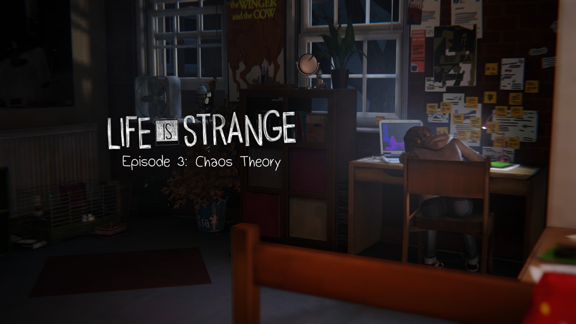 Awesome Life Is Strange free wallpaper ID:148197 for full hd 1920x1080 computer