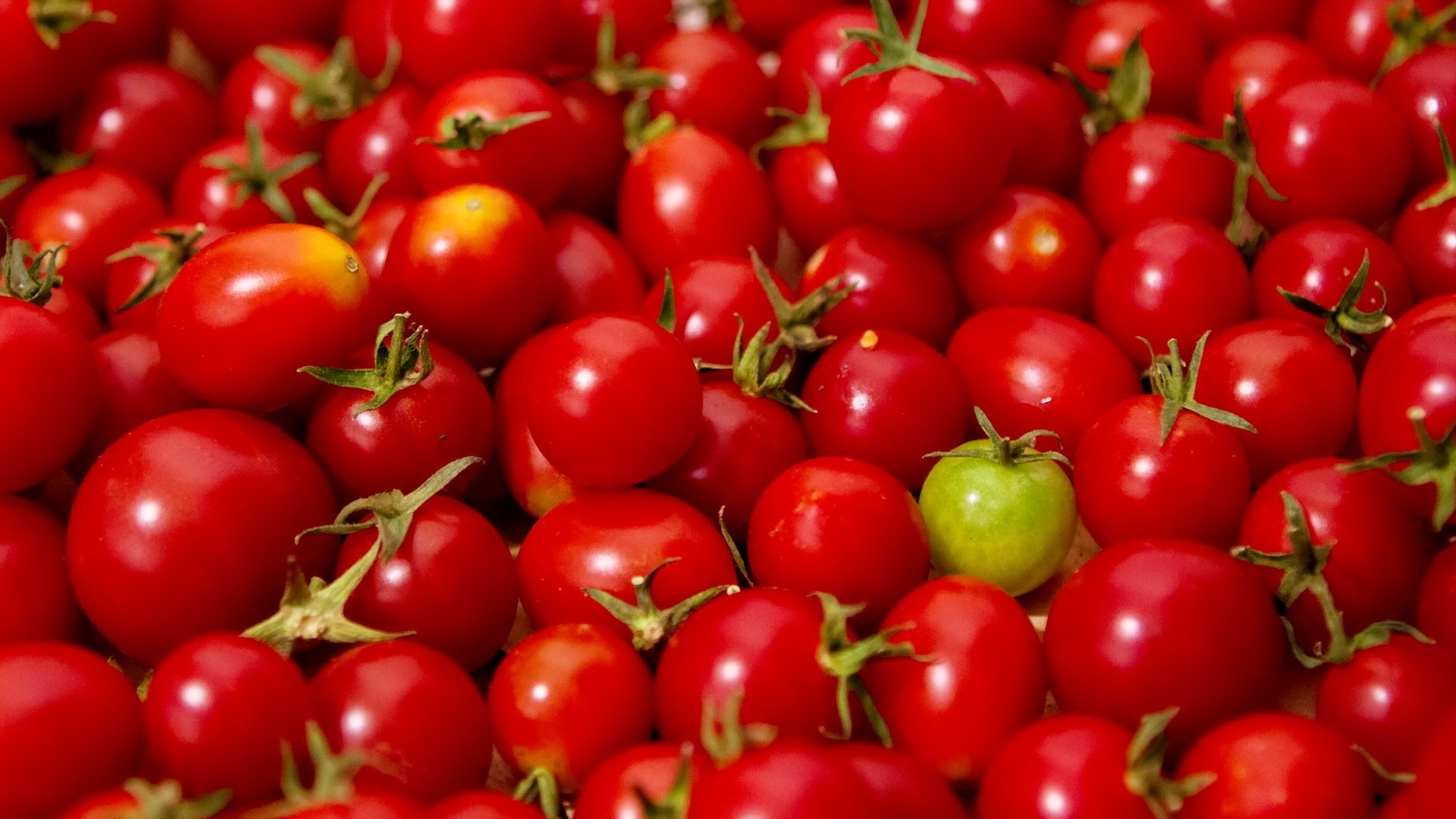 Free Tomato high quality wallpaper ID:95468 for 1080p PC