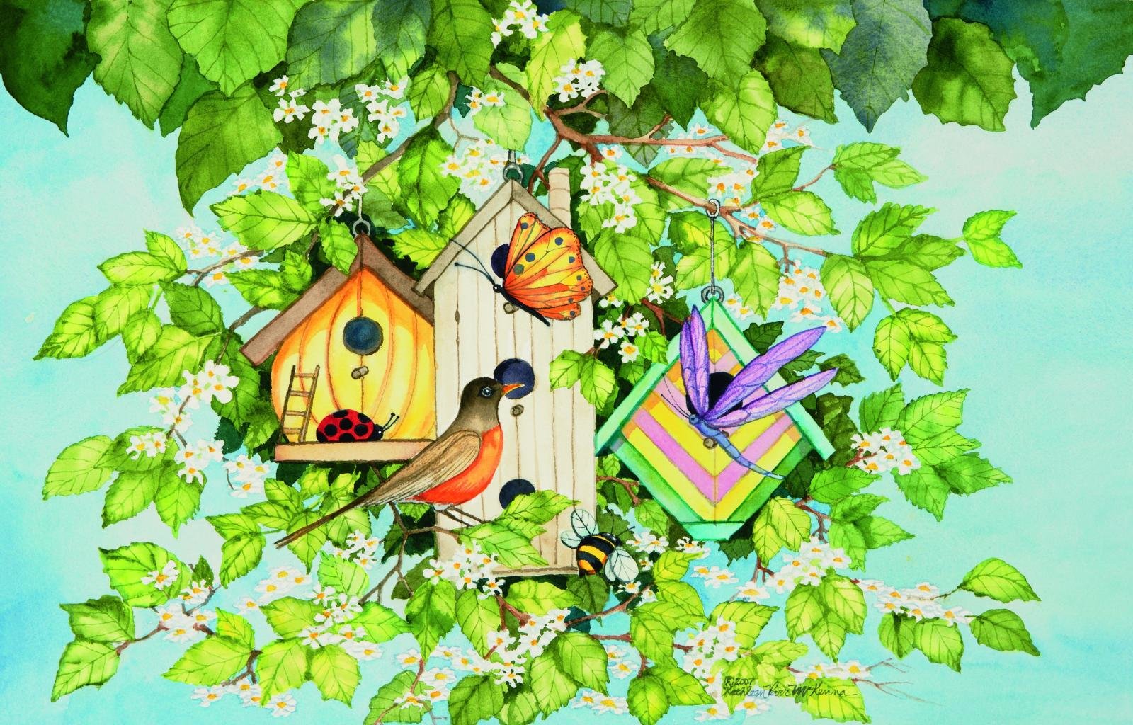 Free Robin bird high quality background ID:360131 for hd 1600x1024 PC