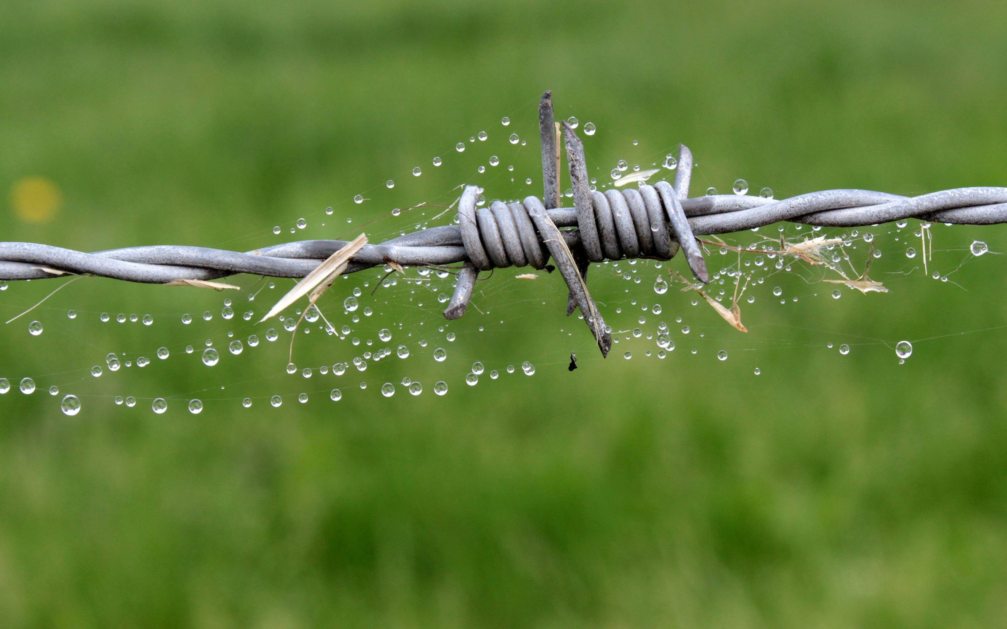 Free download Barb Wire background ID:259594 hd 3280x2048 for computer