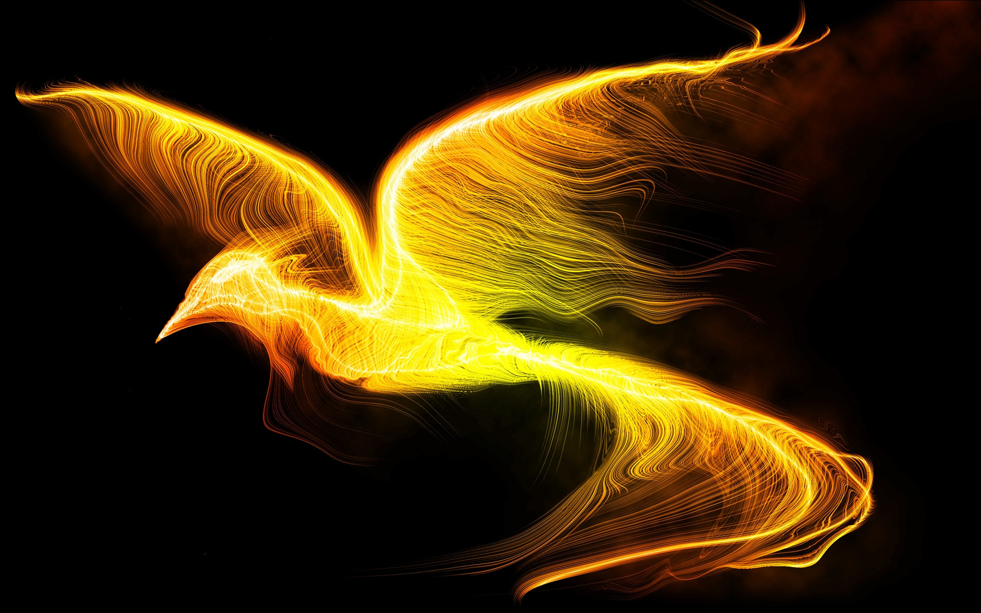 Download hd 1920x1200 Phoenix computer background ID:100508 for free