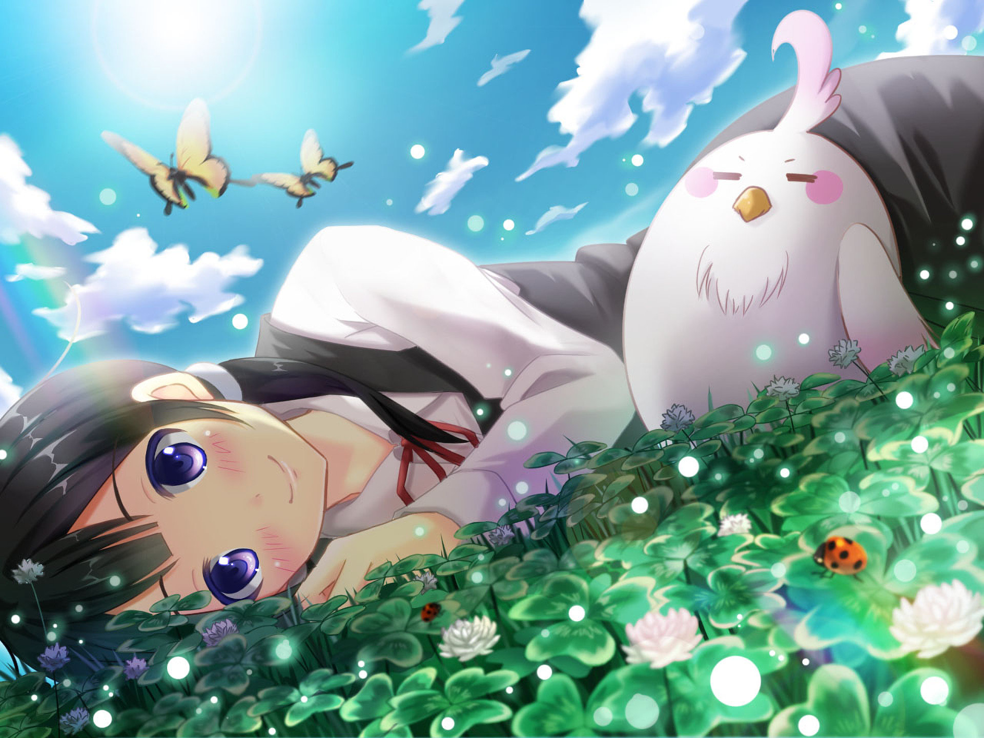 Awesome Tamako Market free background ID:110910 for hd 1920x1440 PC