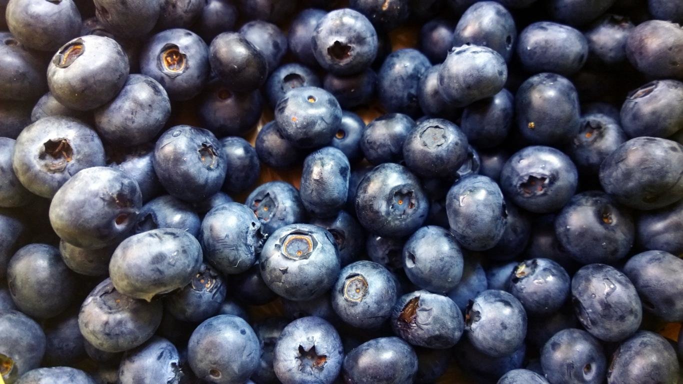 Free Blueberry high quality wallpaper ID:69040 for laptop PC