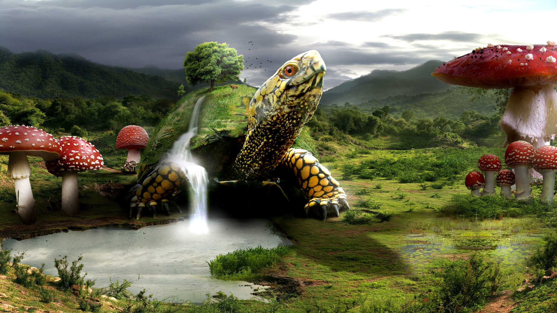 Best Turtle Fantasy wallpaper ID:373791 for High Resolution full hd 1080p desktop