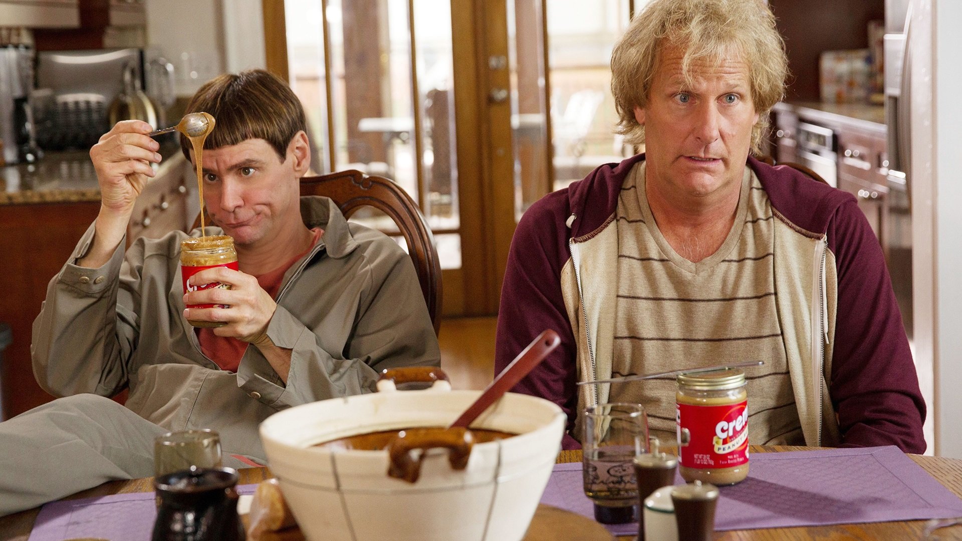Free Dumb And Dumber To high quality background ID:186609 for hd 1920x1080 PC