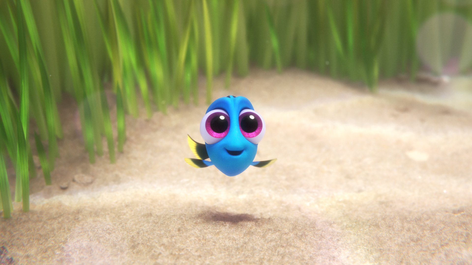 High resolution Finding Dory hd 1920x1080 background ID:68880 for PC