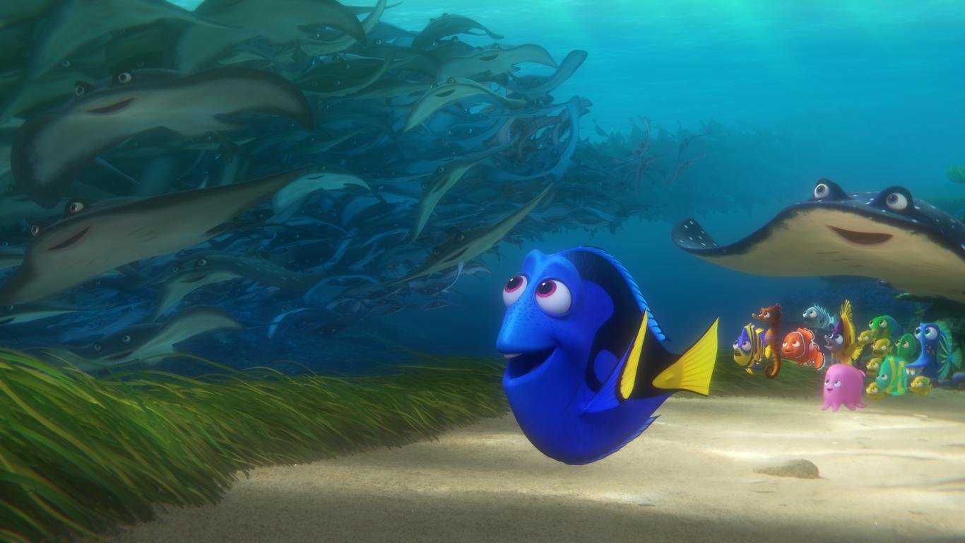 Best Finding Dory background ID:68892 for High Resolution laptop computer