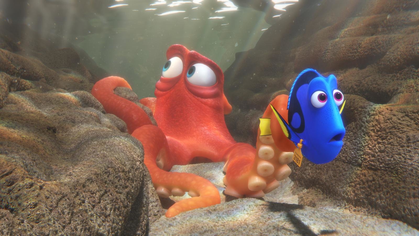 Free download Finding Dory wallpaper ID:68891 hd 1600x900 for desktop