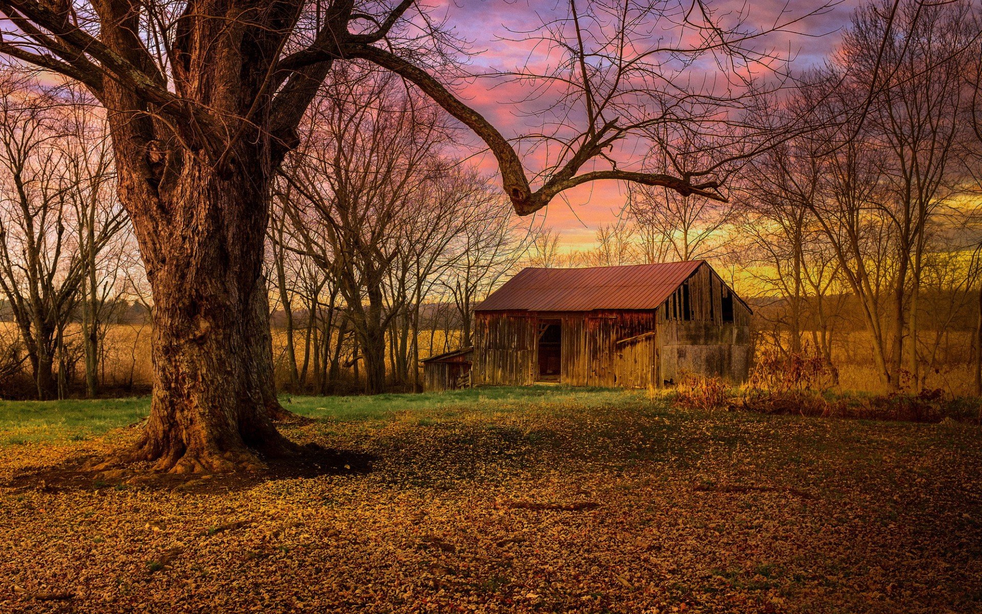 Awesome Barn free wallpaper ID:494756 for hd 1920x1200 PC