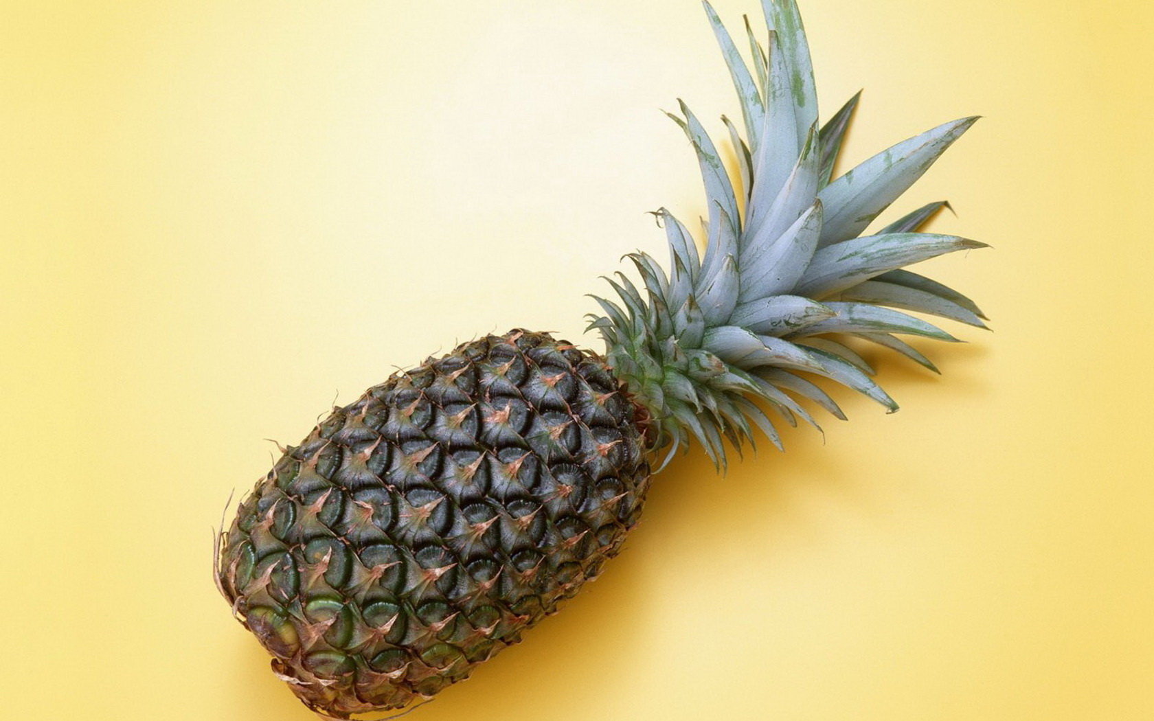 Free Pineapple high quality background ID:291158 for hd 1680x1050 PC