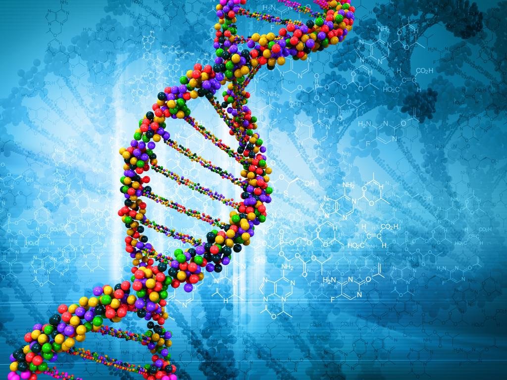 Free download DNA wallpaper ID:73820 hd 1024x768 for PC
