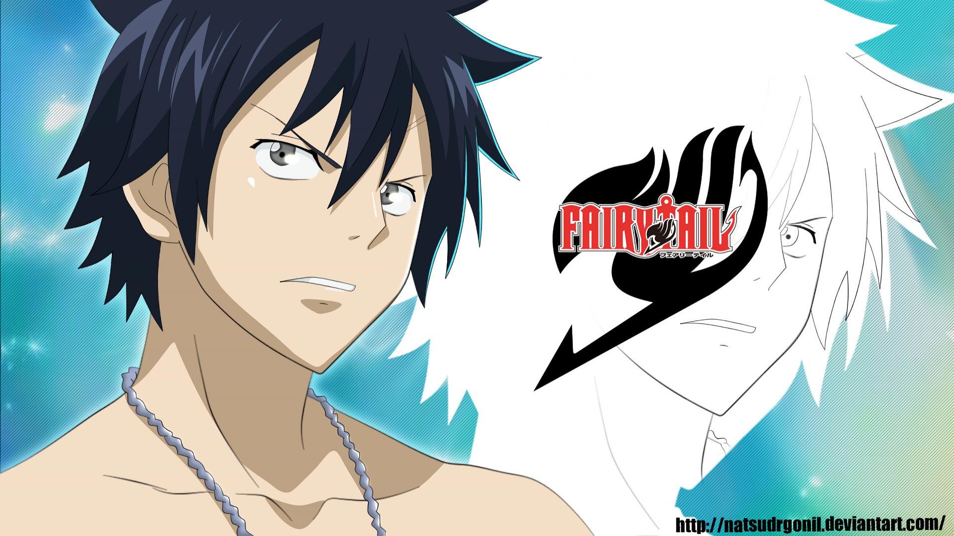 Free Gray Fullbuster high quality background ID:41417 for full hd 1920x1080 computer