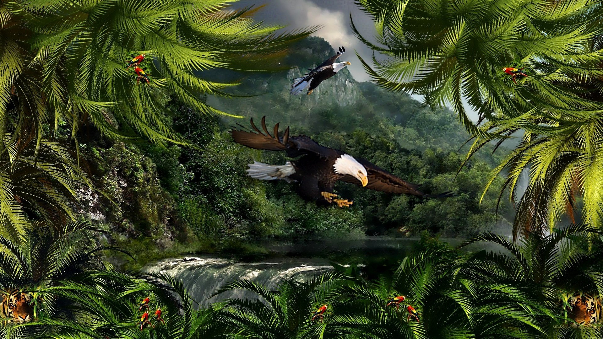 Best Bird fantasy wallpaper ID:211542 for High Resolution full hd 1080p computer