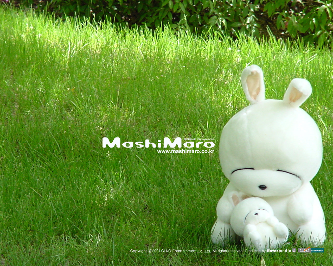 High resolution MashiMaro hd 1280x1024 background ID:20249 for desktop