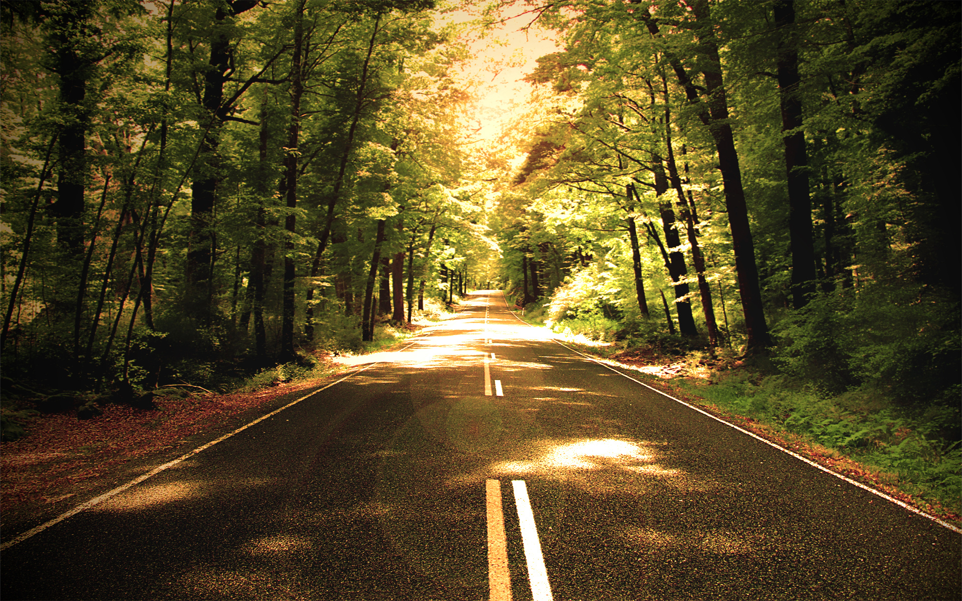 Awesome Road free wallpaper ID:491694 for hd 1920x1200 desktop