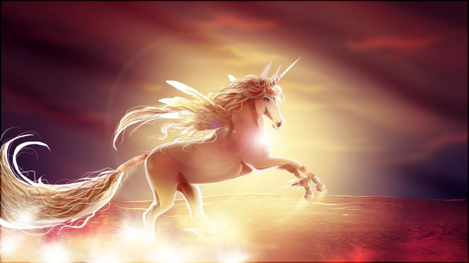 Free Unicorn high quality background ID:408687 for hd 1600x900 desktop