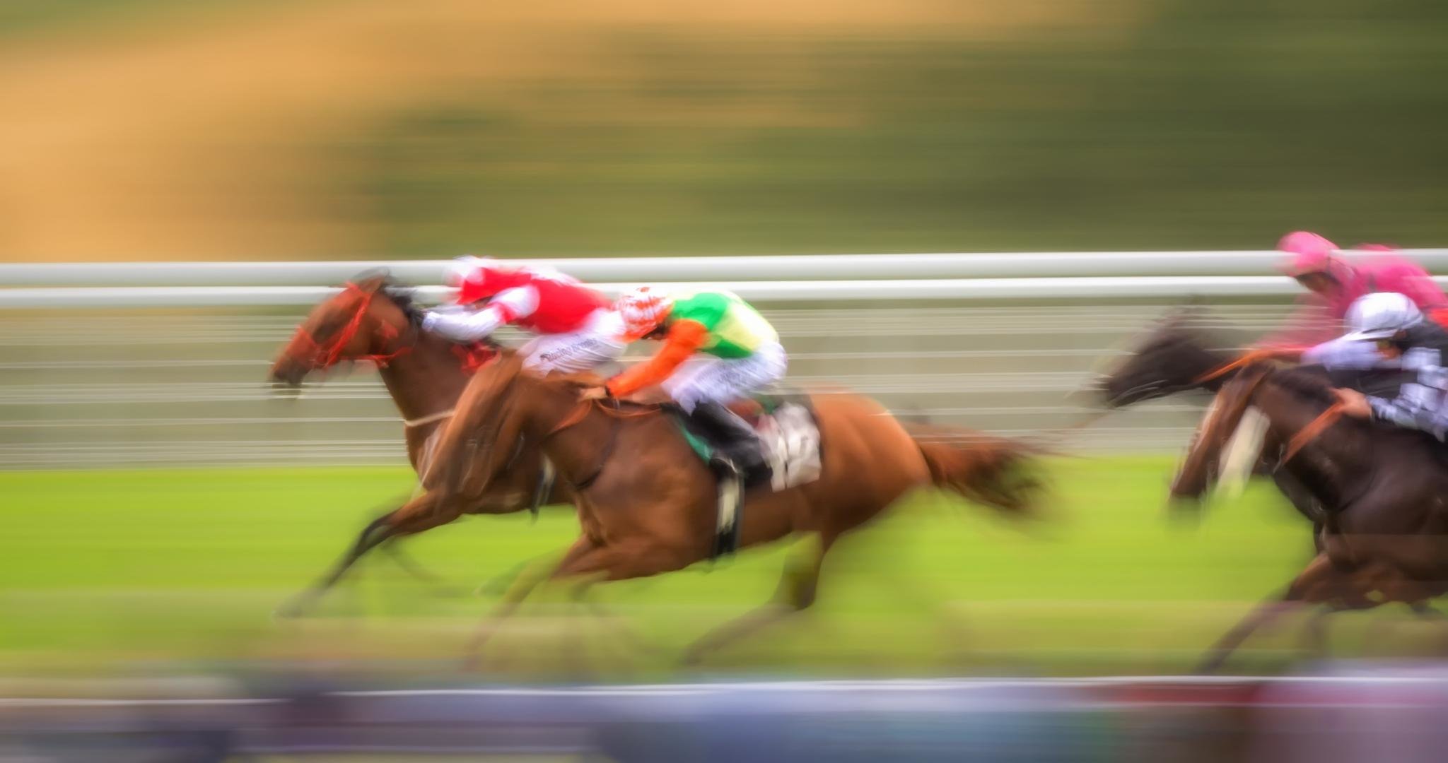 Free Horse Racing high quality wallpaper ID:174317 for hd 2048x1080 computer