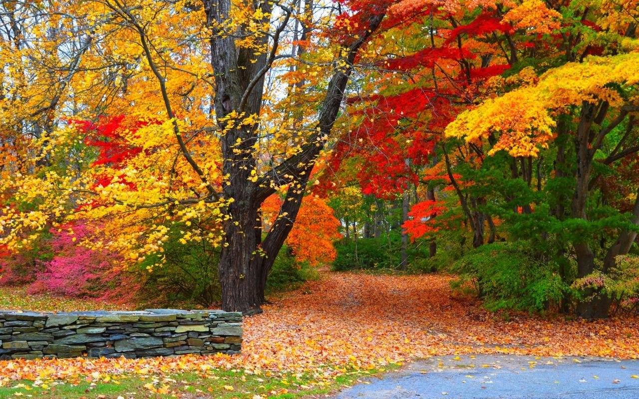 Awesome Fall free background ID:21090 for hd 1280x800 desktop