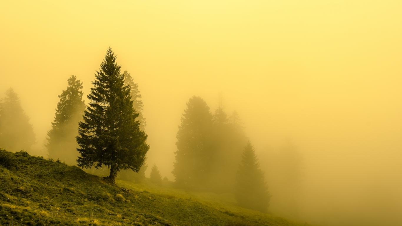 Awesome Fog free wallpaper ID:400381 for 1366x768 laptop desktop