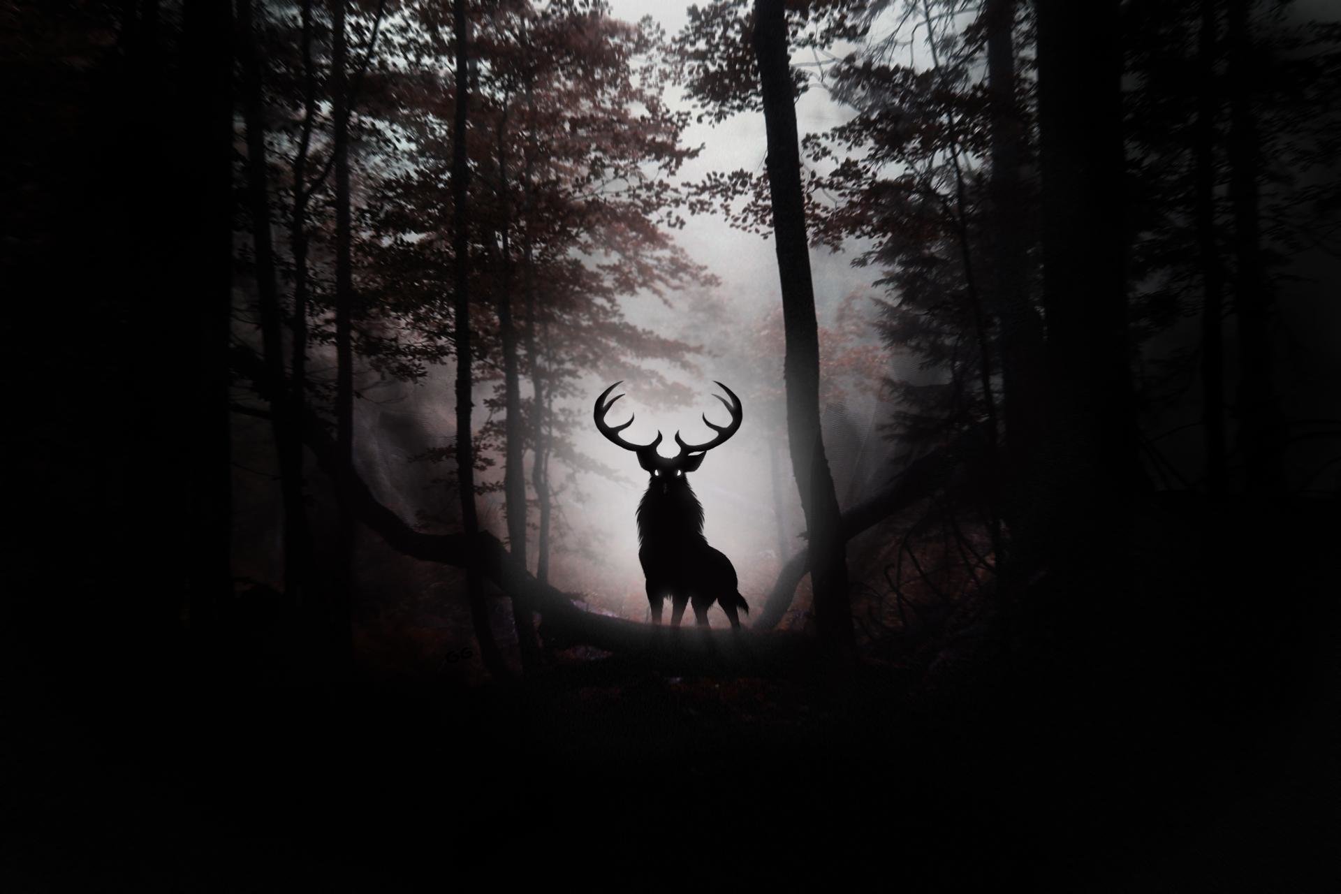 Free download Deer Fantasy background ID:96889 hd 1920x1280 for desktop
