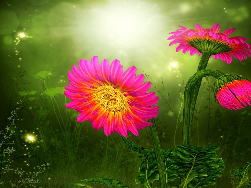 Awesome Cool flower free background ID:75963 for hd 1024x768 desktop