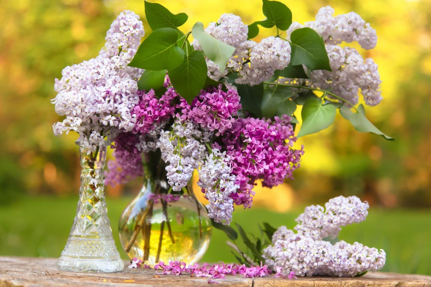 Download hd 1440x960 Flower bouquet PC wallpaper ID:180048 for free