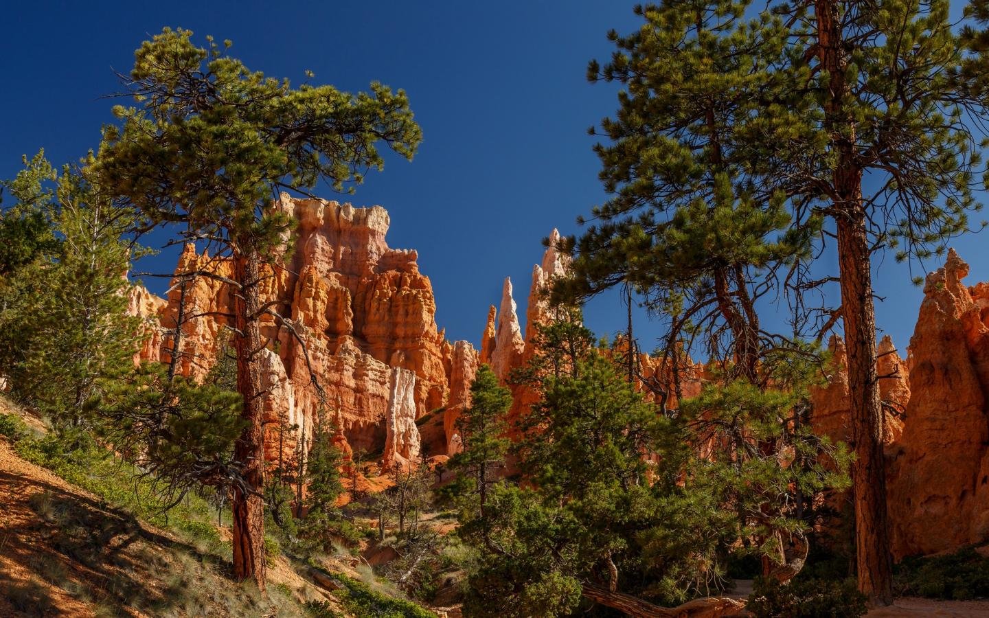 Awesome Bryce Canyon National Park free background ID:358126 for hd 1440x900 computer