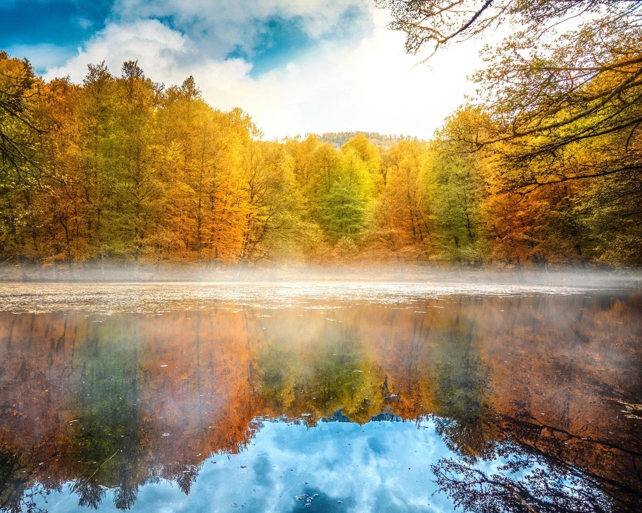 Free Reflection high quality background ID:217878 for hd 1280x1024 desktop