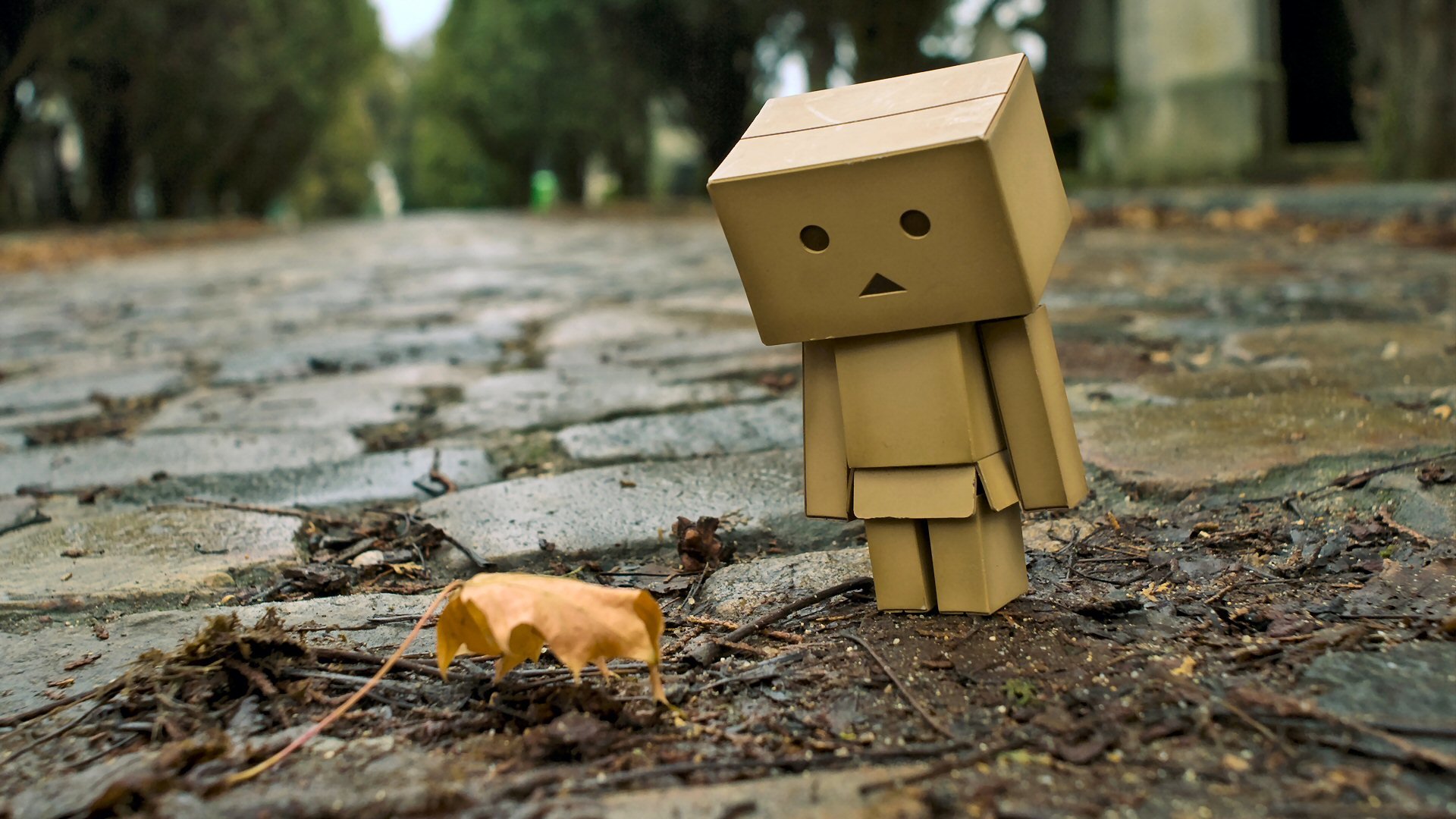 High resolution Danbo 1080p background ID:30339 for computer
