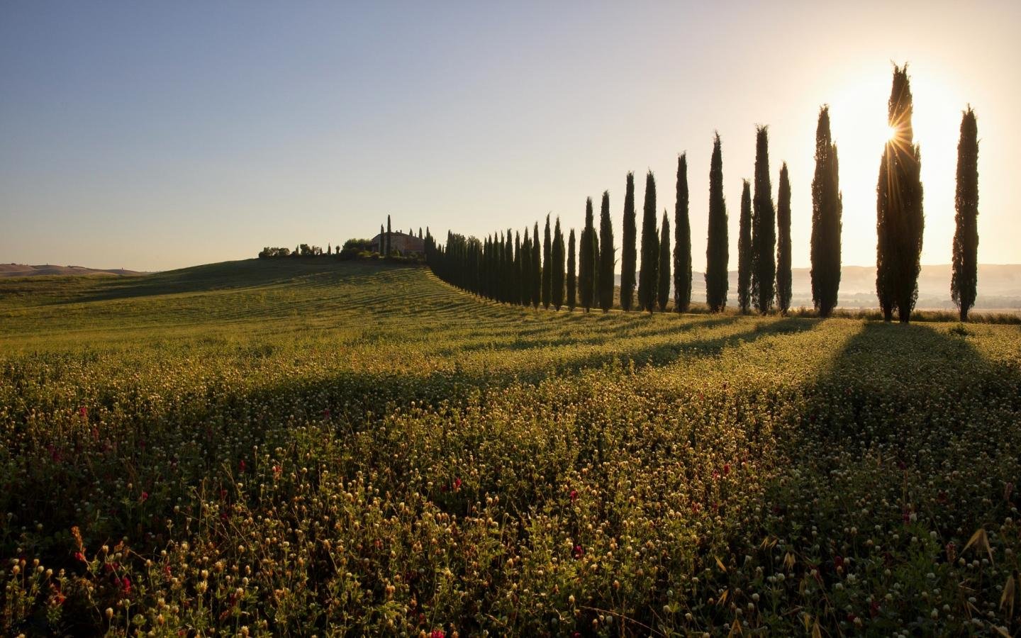 Download hd 1440x900 Tuscany PC wallpaper ID:493183 for free