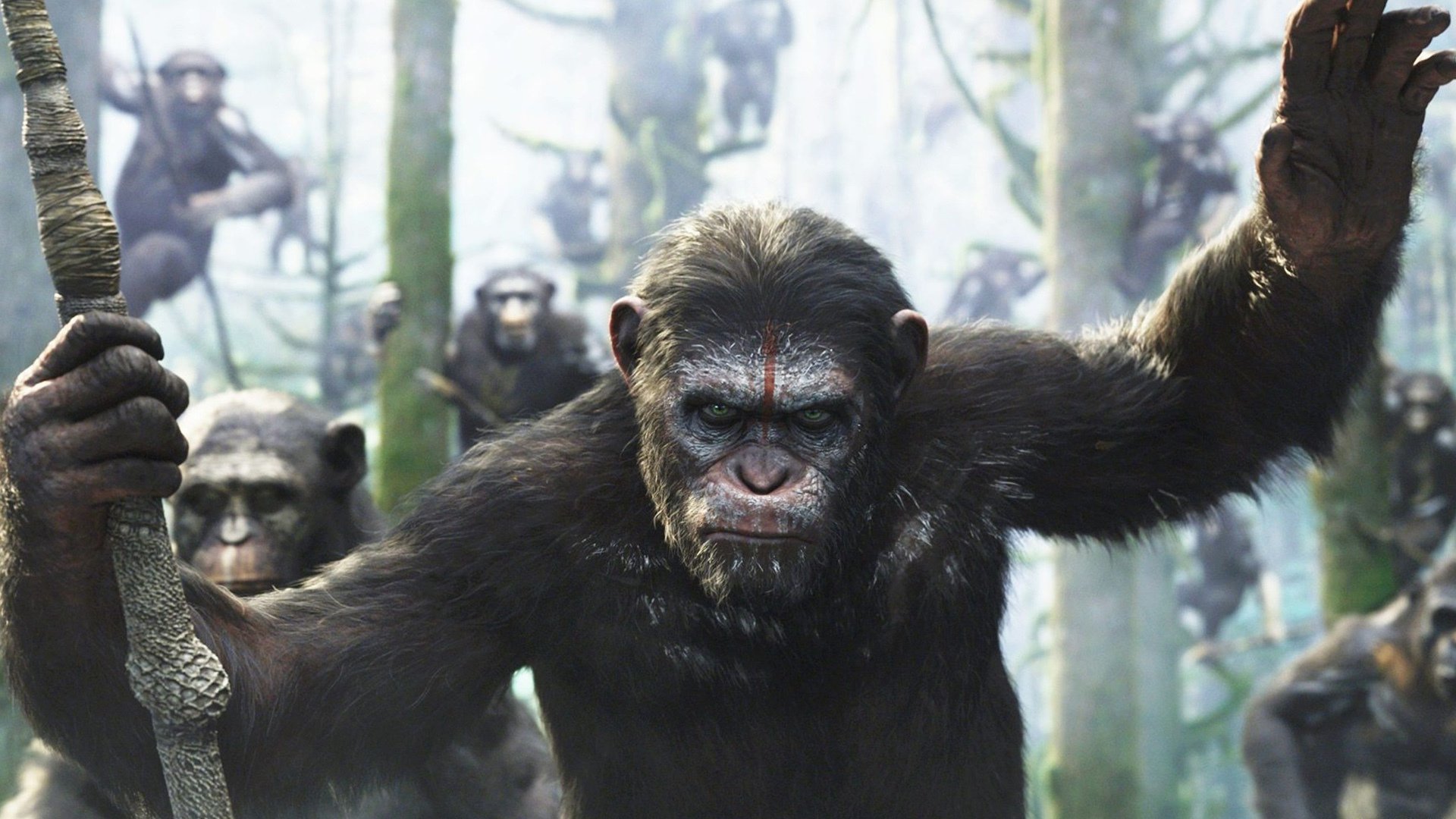 Free Dawn Of The Planet Of The Apes high quality background ID:213715 for hd 1920x1080 PC