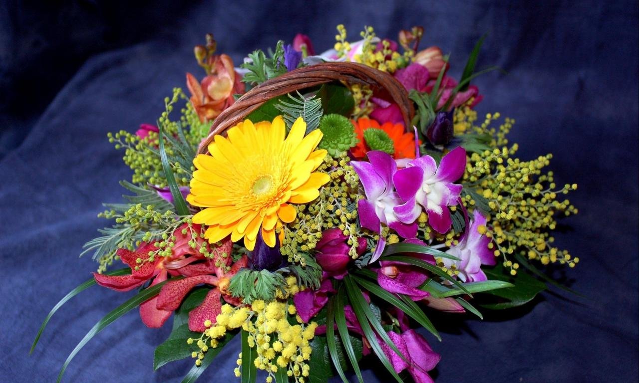 Free download Flower bouquet background ID:180044 hd 1280x768 for desktop