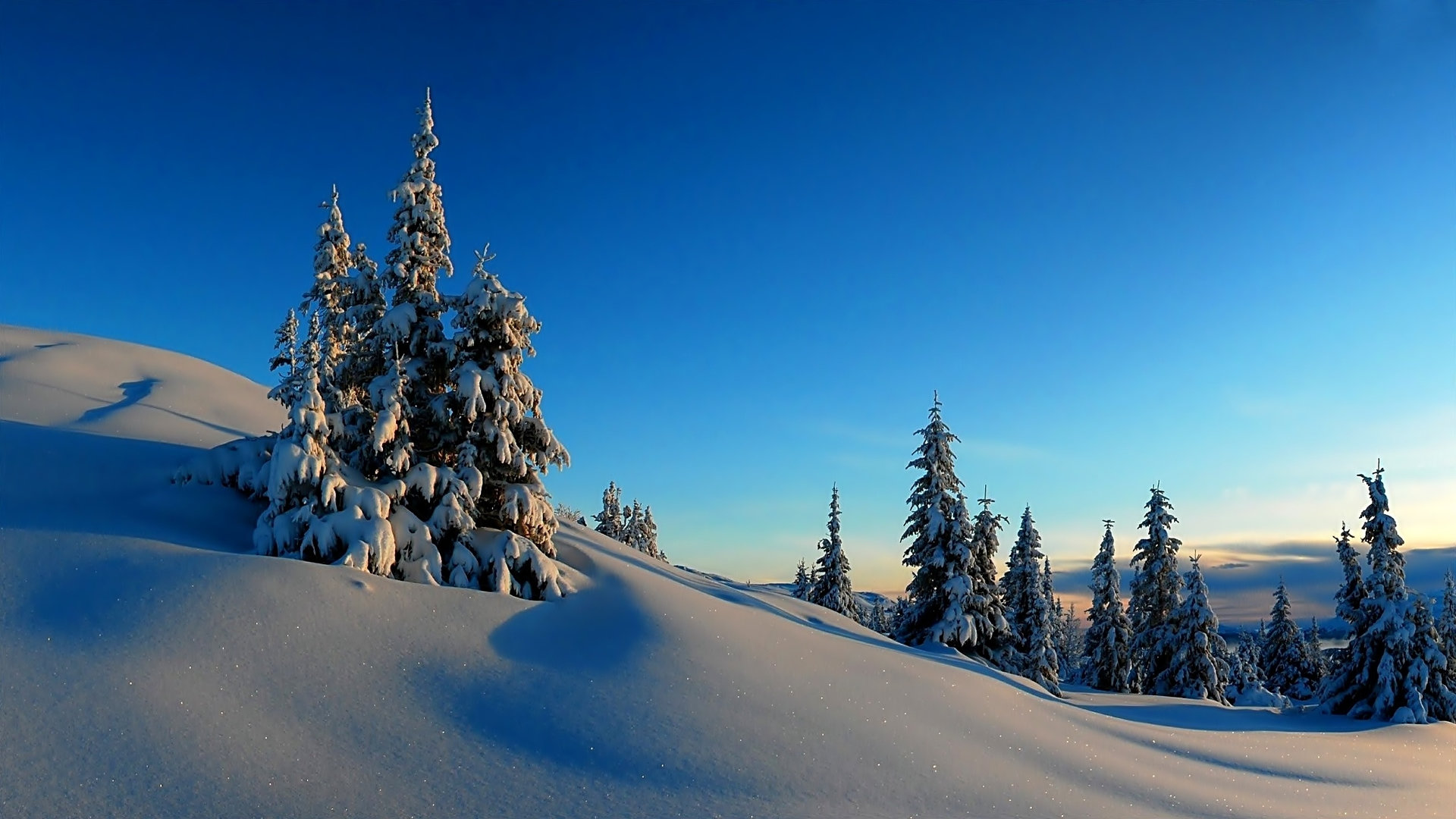 High resolution Winter 1080p background ID:251663 for PC