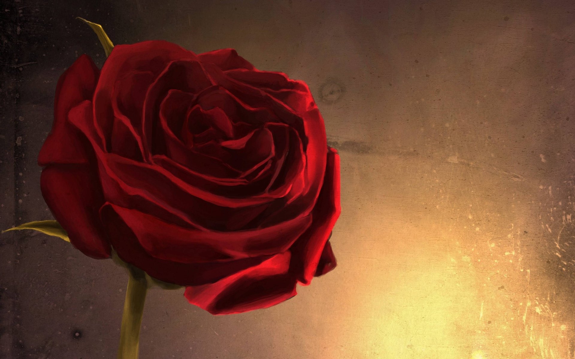 Best Rose background ID:471629 for High Resolution hd 1920x1200 computer