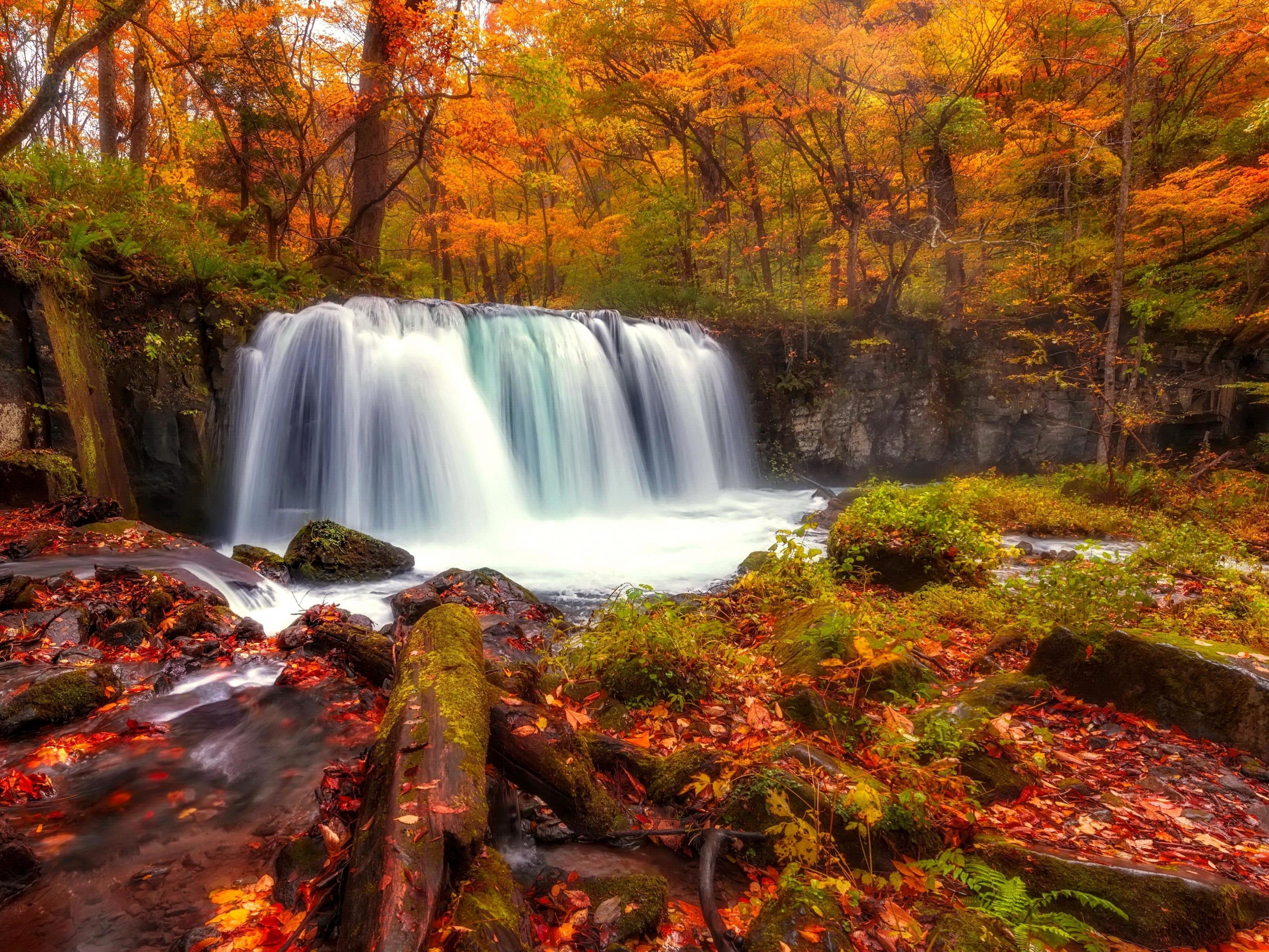 Awesome Waterfall free wallpaper ID:108095 for hd 3200x2400 PC