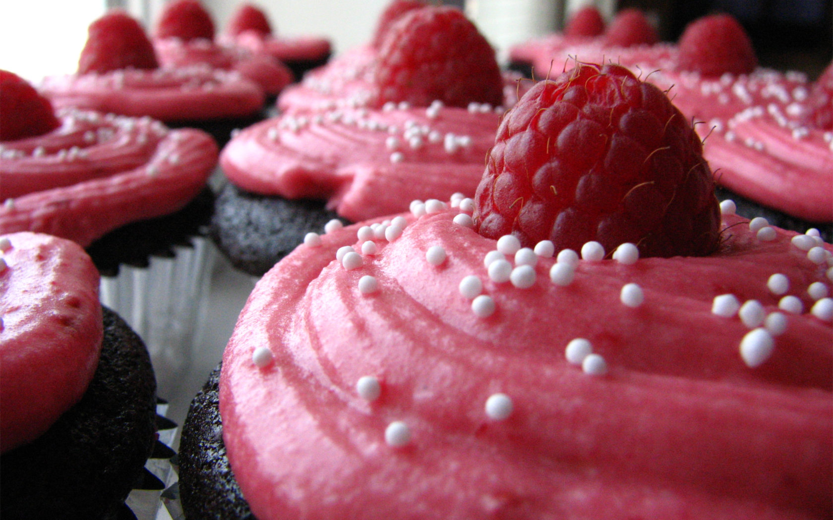 Free Cupcake high quality wallpaper ID:185796 for hd 1680x1050 computer