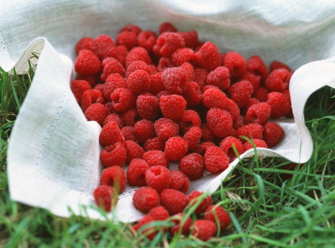 Free download Raspberry background ID:50038 hd 1120x832 for computer