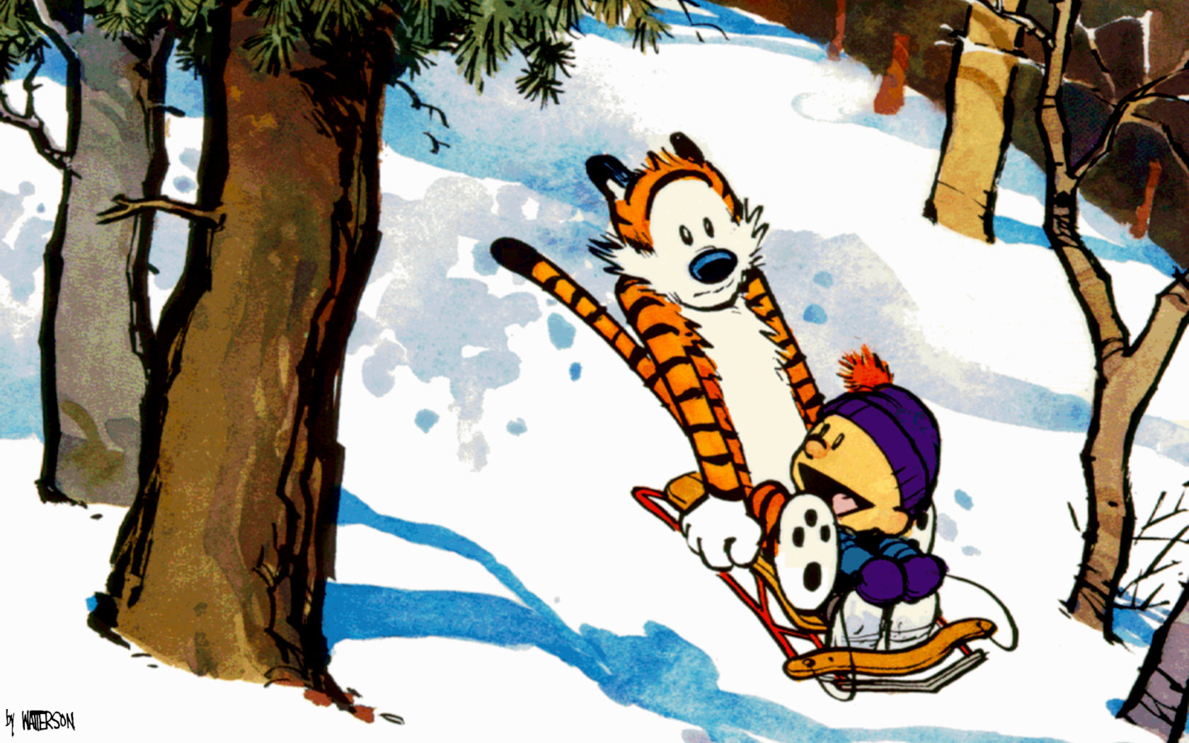 Download hd 1680x1050 Calvin and Hobbes computer background ID:211357 for free