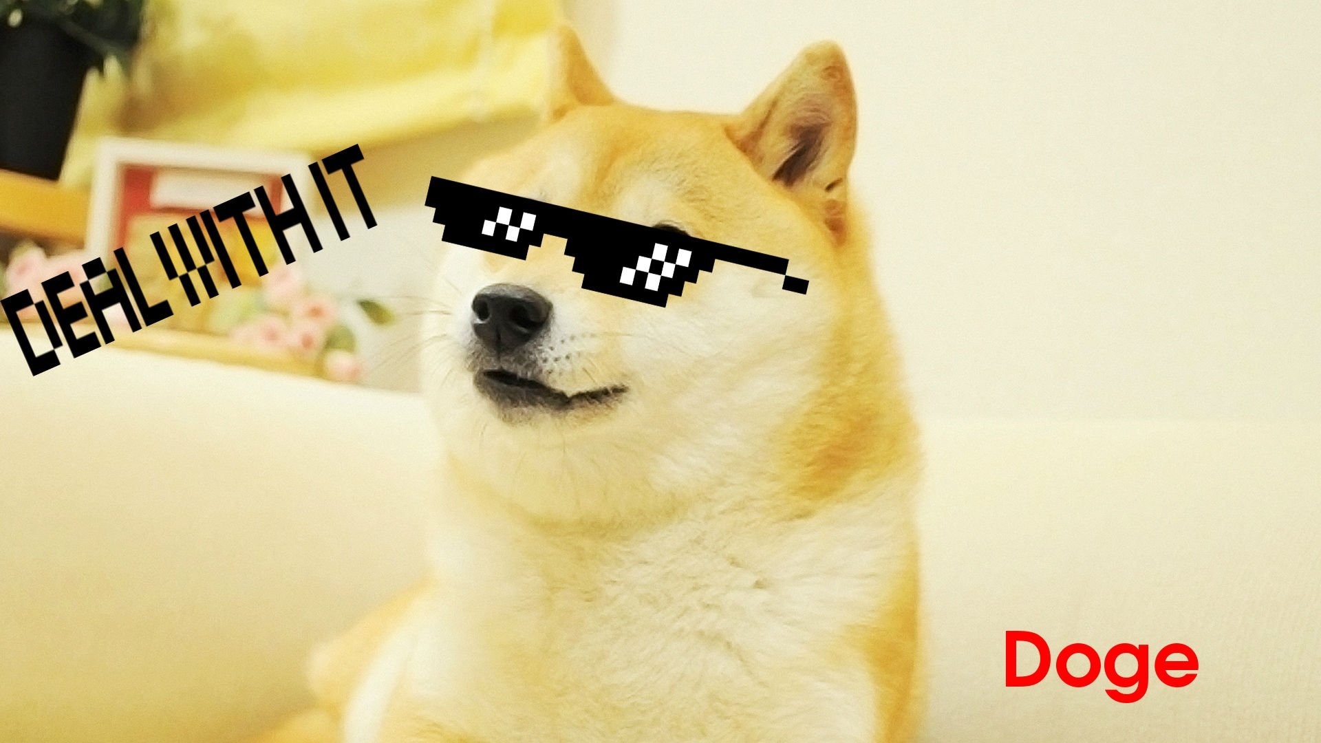 Free Doge high quality background ID:64459 for full hd 1080p computer